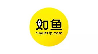 從如魚旅行到如魚蛻變 品牌升級如何重塑創意服務新體驗